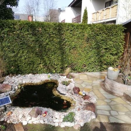 Teichbau - Impressionen